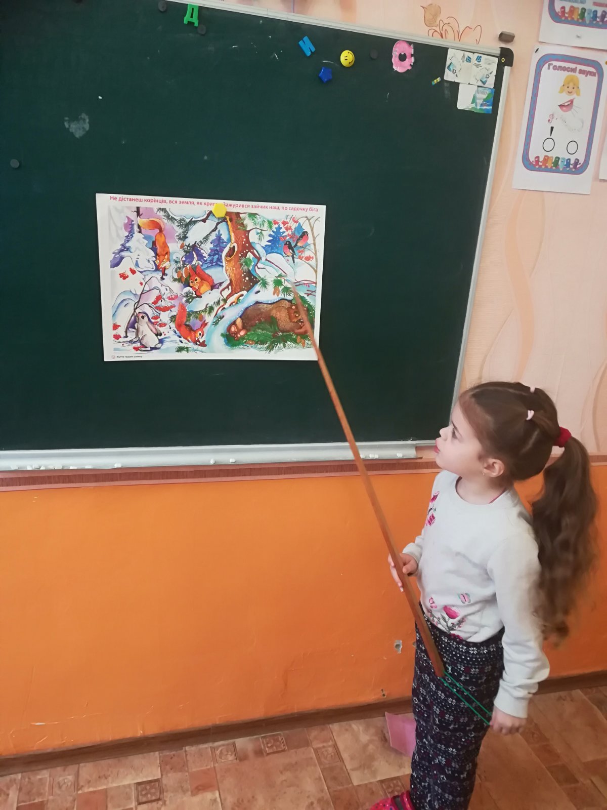 звірі