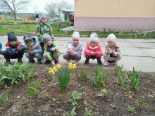 Вчилися розрізняти рослини